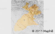 Satellite 3D Map of Arbil, lighten, desaturated