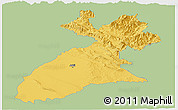 Savanna Style Panoramic Map of Arbil, single color outside