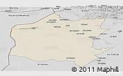Shaded Relief Panoramic Map of Neineva, desaturated