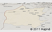 Shaded Relief Panoramic Map of Neineva, semi-desaturated