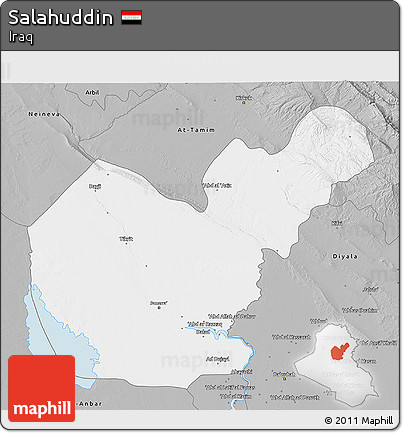 Gray 3D Map of Salahuddin