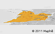 Political Panoramic Map of Clare, lighten, desaturated
