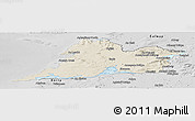 Shaded Relief Panoramic Map of Clare, desaturated