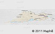 Shaded Relief Panoramic Map of Clare, lighten, desaturated