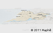 Shaded Relief Panoramic Map of Clare, lighten, semi-desaturated