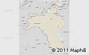 Shaded Relief 3D Map of Roscommon, desaturated