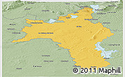 Savanna Style Panoramic Map of Roscommon