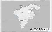 Gray 3D Map of Carlow, single color outside