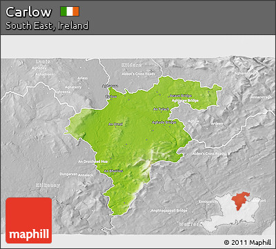 Physical 3D Map of Carlow, lighten, desaturated