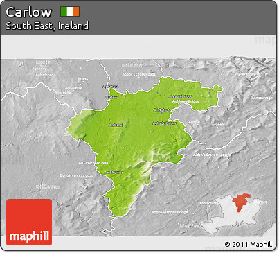 Physical 3D Map of Carlow, lighten, desaturated