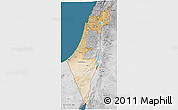Satellite 3D Map of Israel, desaturated, land only