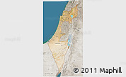 Satellite 3D Map of Israel, semi-desaturated, land only