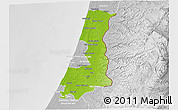 Physical 3D Map of Central District, lighten, desaturated