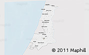 Silver Style 3D Map of Central District, single color outside