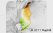 Physical 3D Map of Golan, lighten, desaturated