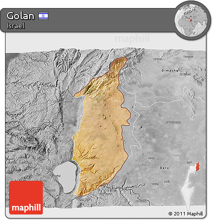 Satellite 3D Map of Golan, desaturated
