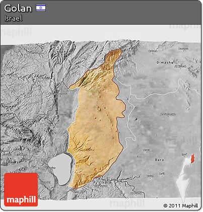 Satellite 3D Map of Golan, desaturated