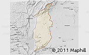 Shaded Relief 3D Map of Golan, desaturated