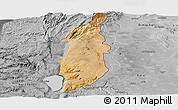 Satellite Panoramic Map of Golan, desaturated