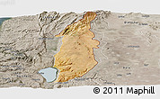 Satellite Panoramic Map of Golan, semi-desaturated