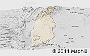 Shaded Relief Panoramic Map of Golan, desaturated