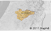 Satellite 3D Map of Jerusalem, lighten, desaturated
