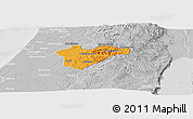 Political Panoramic Map of Jerusalem, lighten, desaturated