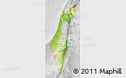 Physical Map of Israel, lighten, desaturated