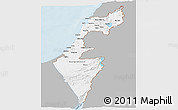 Gray Panoramic Map of Israel, single color outside