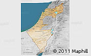 Satellite Panoramic Map of Israel, desaturated, land only