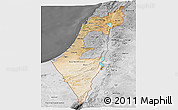 Satellite Panoramic Map of Israel, desaturated