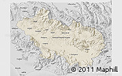 Shaded Relief 3D Map of Frosinone, desaturated