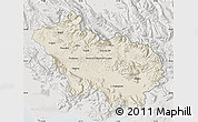Shaded Relief Map of Frosinone, lighten, semi-desaturated