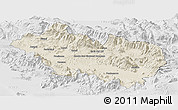 Shaded Relief Panoramic Map of Frosinone, lighten, desaturated