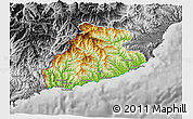 Physical 3D Map of Imperia, desaturated