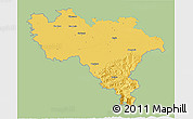 Savanna Style 3D Map of Pavia, single color outside