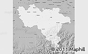 Gray Map of Pavia