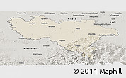 Shaded Relief Panoramic Map of Pavia, semi-desaturated