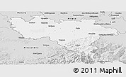Silver Style Panoramic Map of Pavia