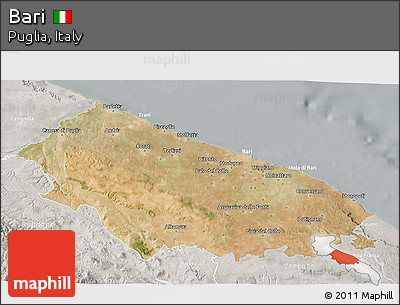 Satellite 3D Map of Bari, lighten, semi-desaturated