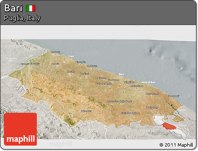 Satellite 3D Map of Bari, lighten, semi-desaturated