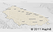 Shaded Relief 3D Map of Bari, lighten, desaturated