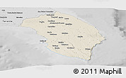 Shaded Relief Panoramic Map of Lecce, desaturated