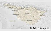 Shaded Relief Panoramic Map of Toscana, lighten, desaturated