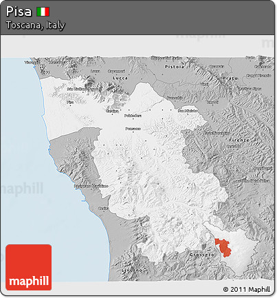 Gray 3D Map of Pisa