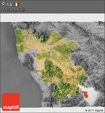 Satellite 3D Map of Pisa, desaturated