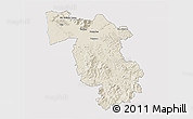 Shaded Relief 3D Map of Pisa, cropped outside