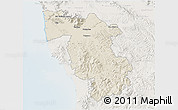 Shaded Relief 3D Map of Pisa, lighten