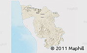 Shaded Relief 3D Map of Pisa, single color outside