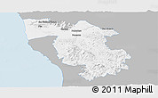Gray Panoramic Map of Pisa, single color outside